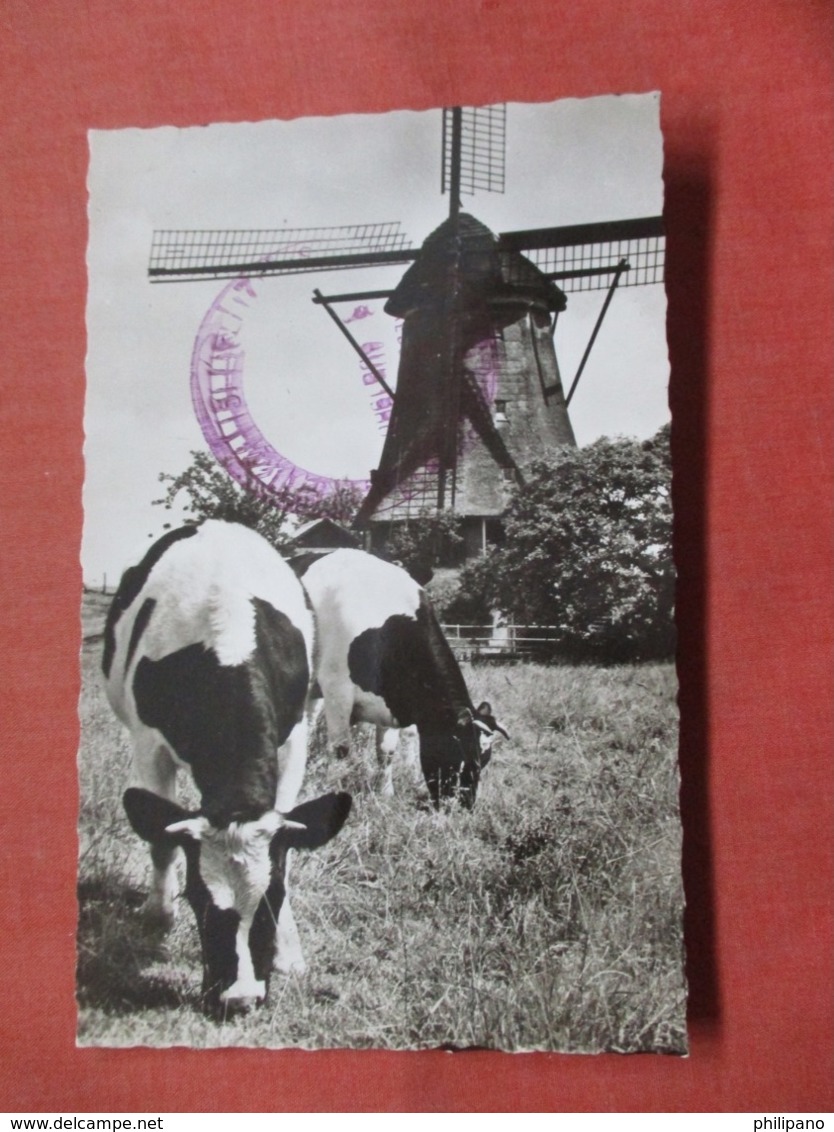 Netherlands > Noord-Holland > Aalsmeer  Cow & Windmill  > Ref 3795 - Aalsmeer