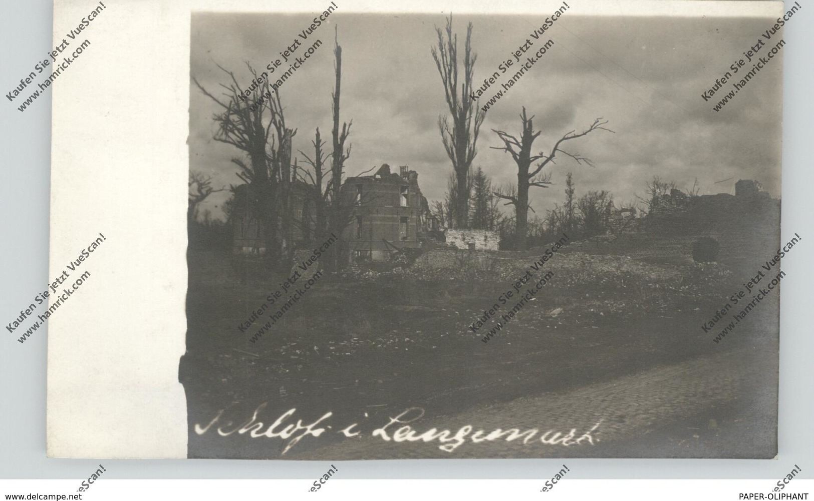 B 8920 LANGEMARK - POELKAPELLE, 1.Weltkrieg, Zerstörtes Schloß Langemark, Photo-AK - Langemark-Poelkapelle