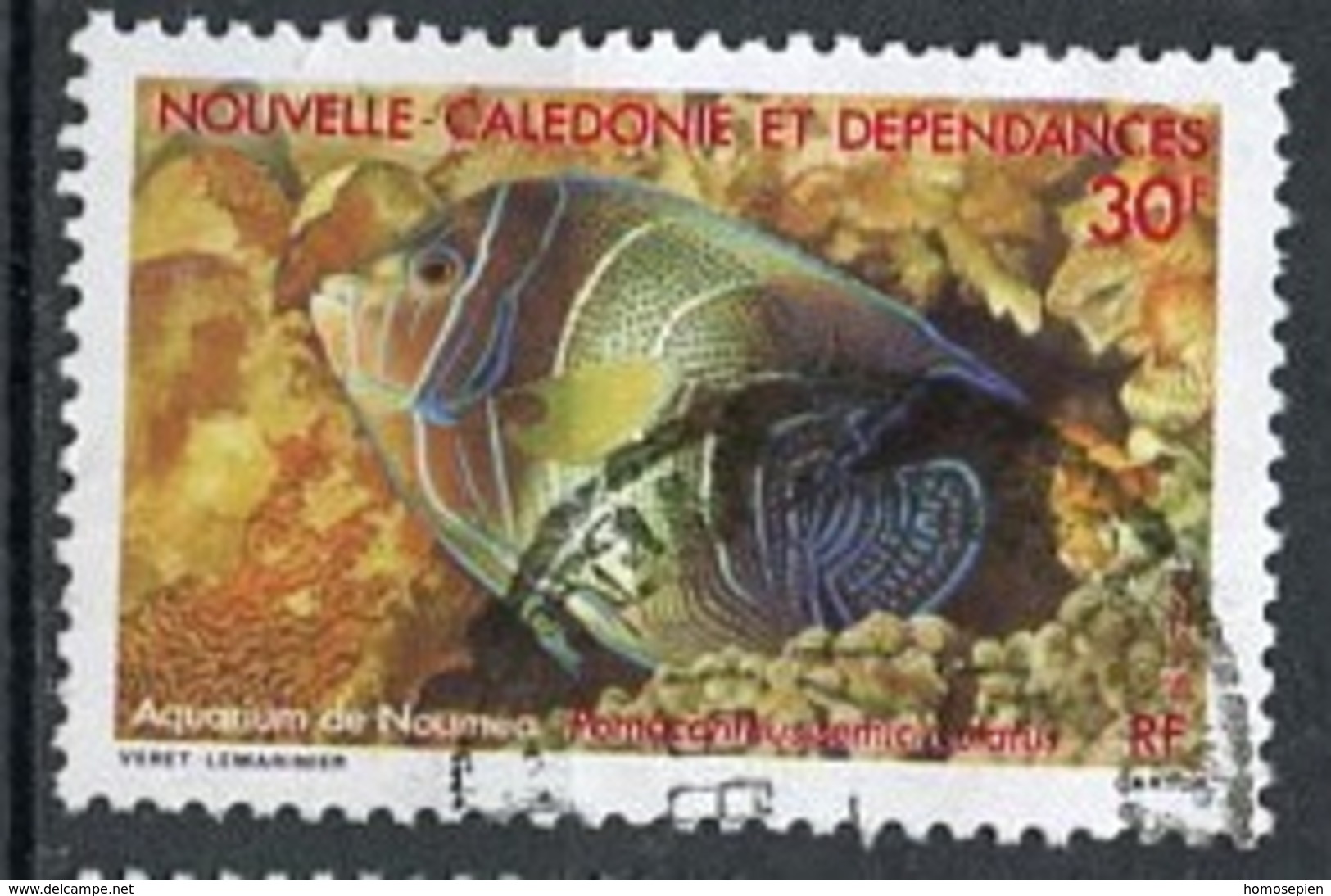 Nouvelle Calédonie - Neukaledonien - New Caledonia 1988 Y&T N°551 - Michel N°821 (o) - 30f Pomacanthus Semicirculatus - Oblitérés