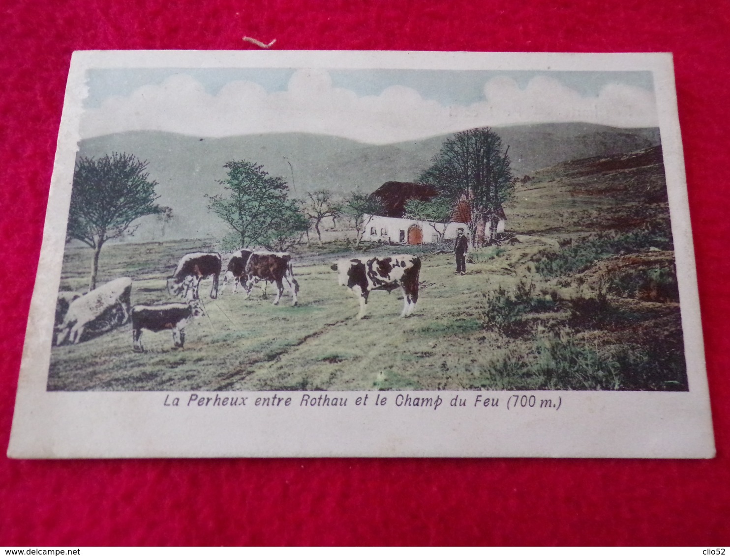 CARTE POSTALE ANCIENNE  LE PERHEUX ENTRE ROTHAU ET LE CHAMP DU FEU - Rothau