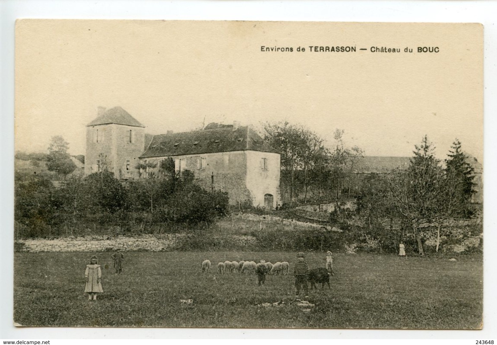 Environs De Terrasson Château Du Bouc (Coly) - Autres & Non Classés