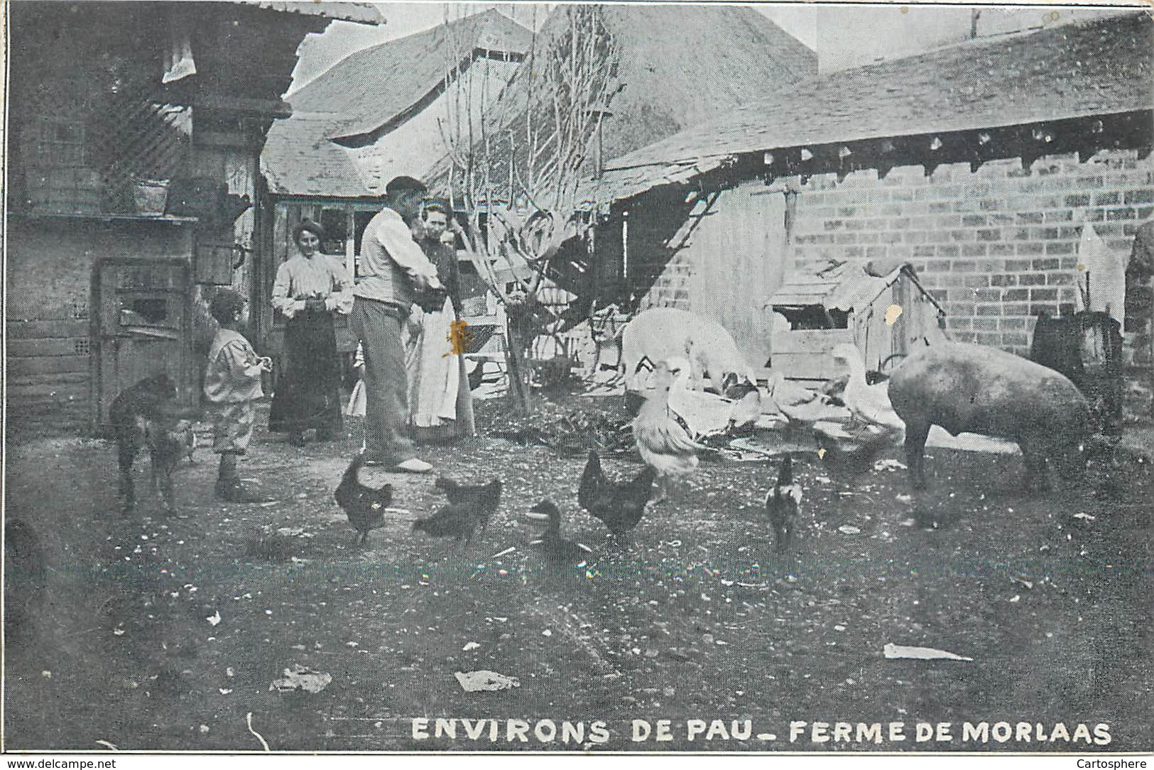 CPA 64 Pyrénées-Atlantiques Ferme De Morlaas - Environs De PAU - Morlaas