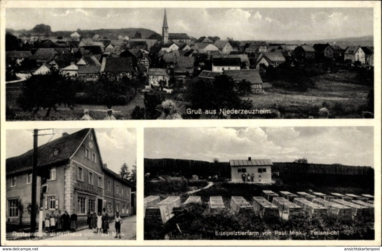 Cp Niederzeuzheim Hadamar, Restaurant, Kaufhaus Und Edelpelztierfarm Von Paul Mink, Anwohner - Autres & Non Classés