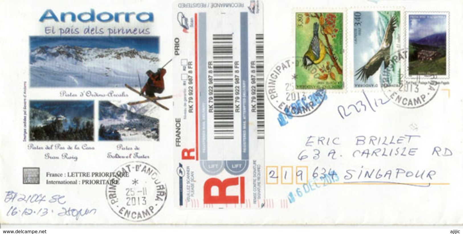 Belle Lettre Recommandée Postée à ENCAMP, Adressée à Singapour (timbres Oiseaux Vautour Des Pyrénées & Mésange) - Covers & Documents