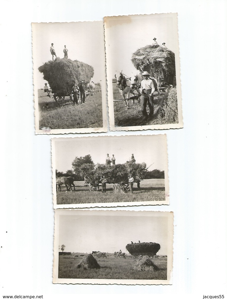 Moisson-région Lilloise-fournes-beaucamps-le Maisnil-aubers-fromelles-wavrin -saibghin-etc..année 1930-4photos - Other & Unclassified