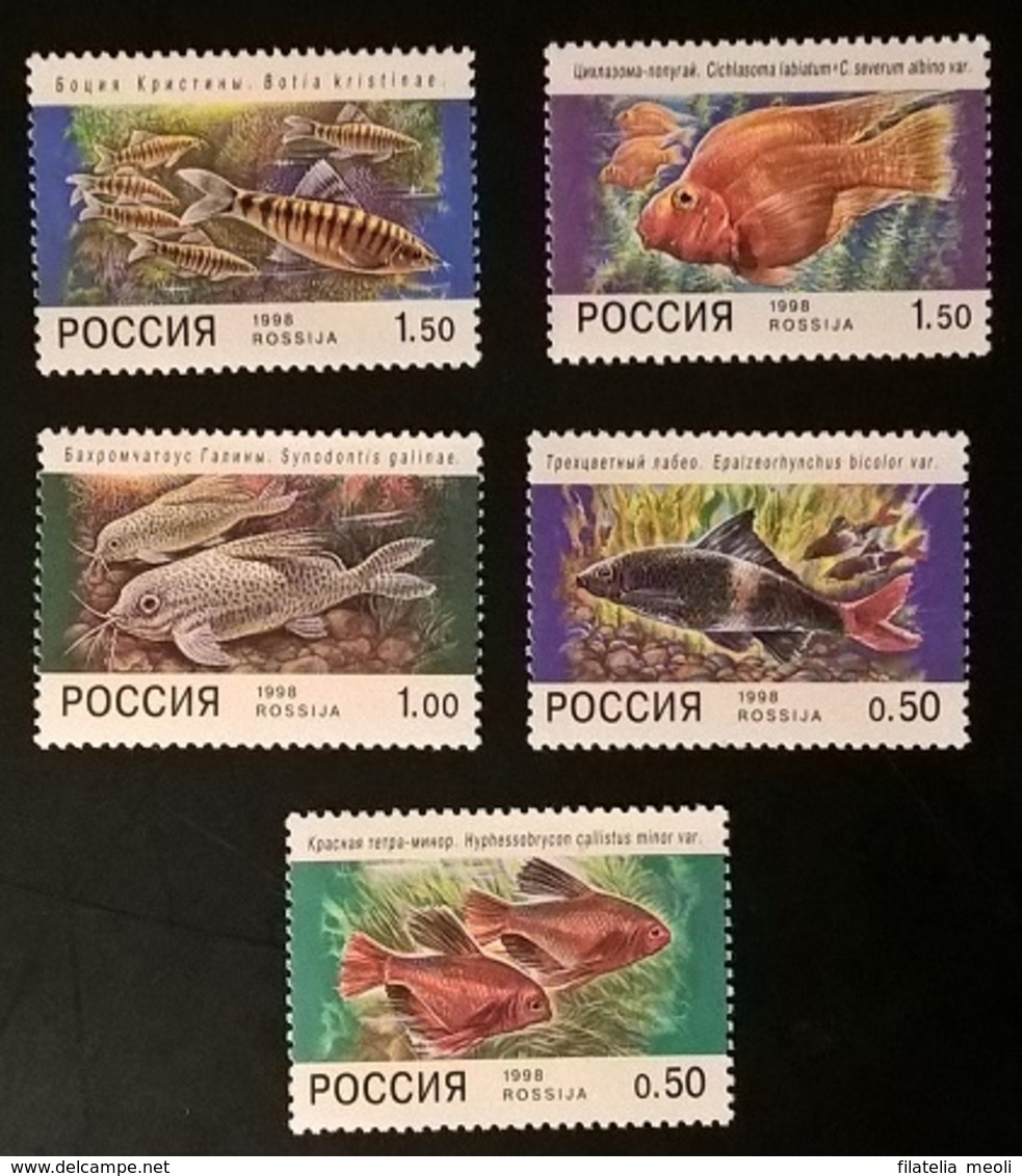 RUSSIA 1998 PESCI - Nuovi