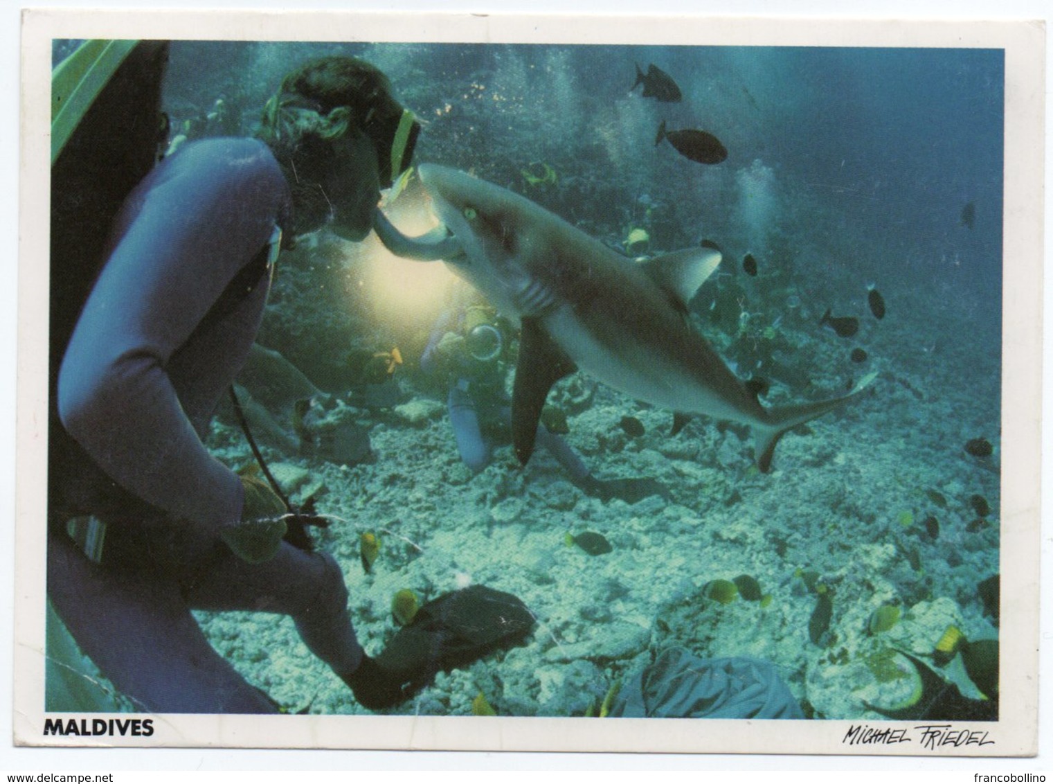 MALDIVES - FEEDING SHARK (PHOTO MICHAEL FRIEDEL No.23/70) / THEMATIC OVERPRINT STAMP-SHIP - Maldiven