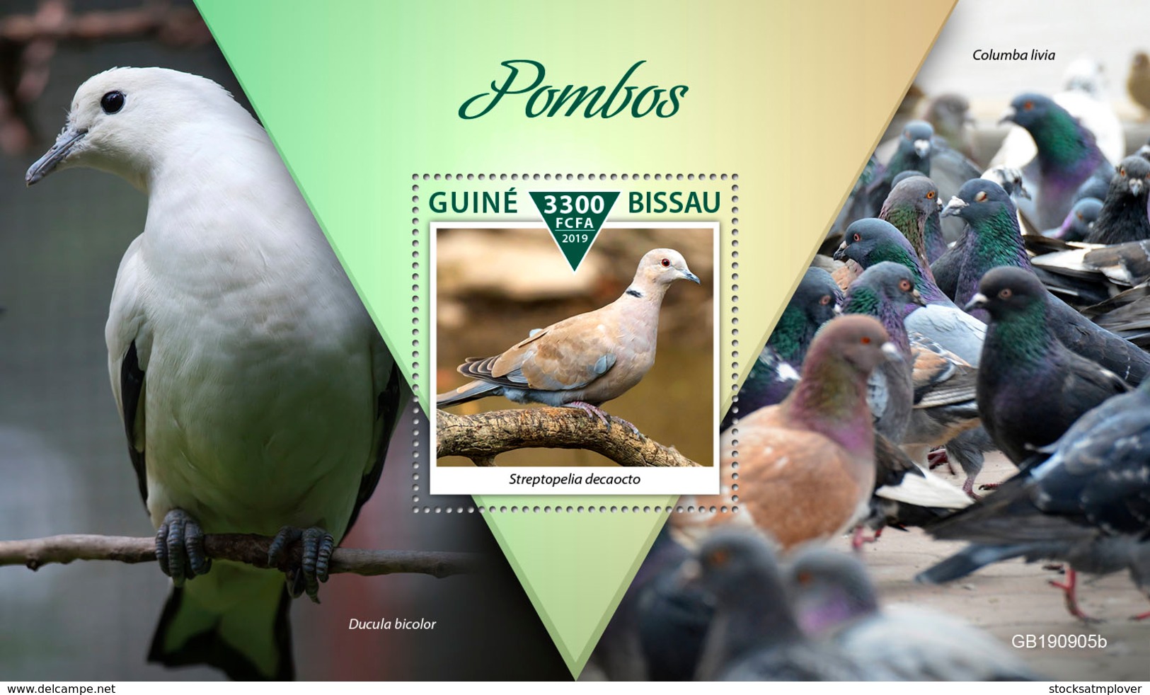 Guinea Bissau  2019  Fauna Pigeons S201911 - Guinea-Bissau