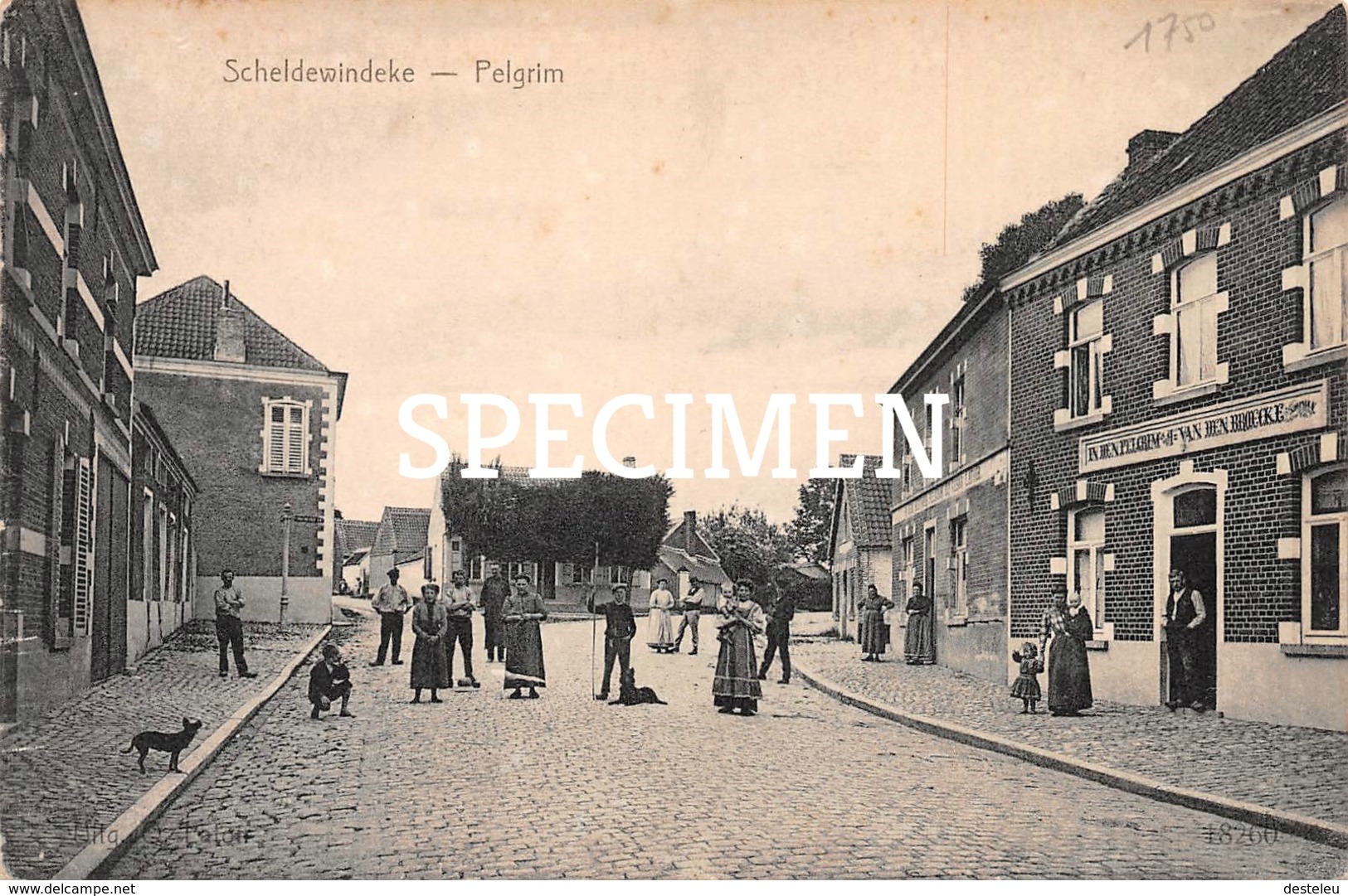 Pelgrim - Scheldewindeke - Oosterzele