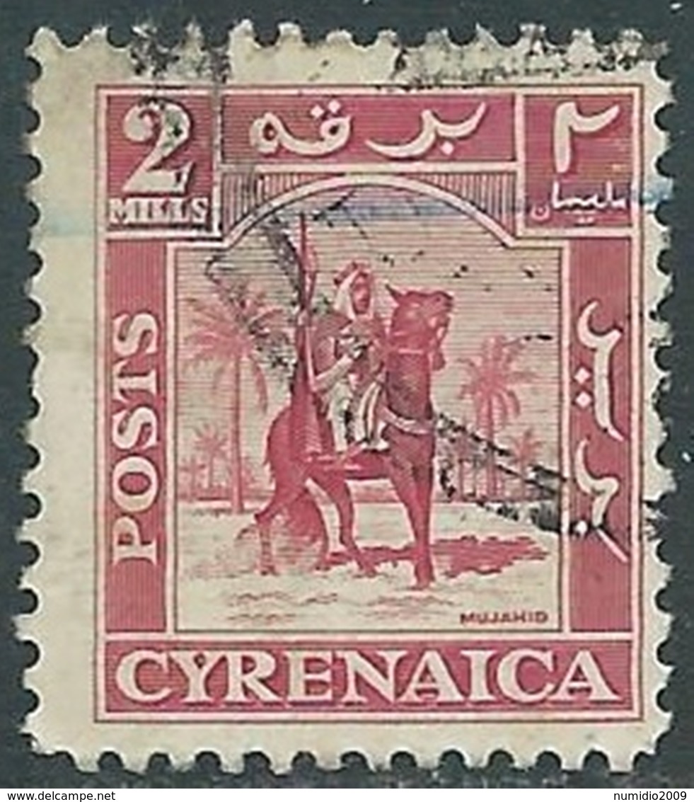 1950 CIRENAICA AMMINISTRAZIONE AUTONOMA USATO CAVALIERE SENUSSITA 2 M - RB44 - Cirenaica