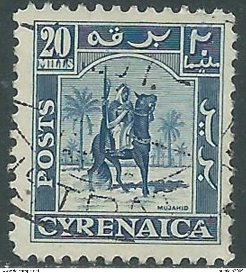 1950 CIRENAICA AMMINISTRAZIONE AUTONOMA USATO CAVALIERE SENUSSITA 20 M - RB44-3 - Cirenaica