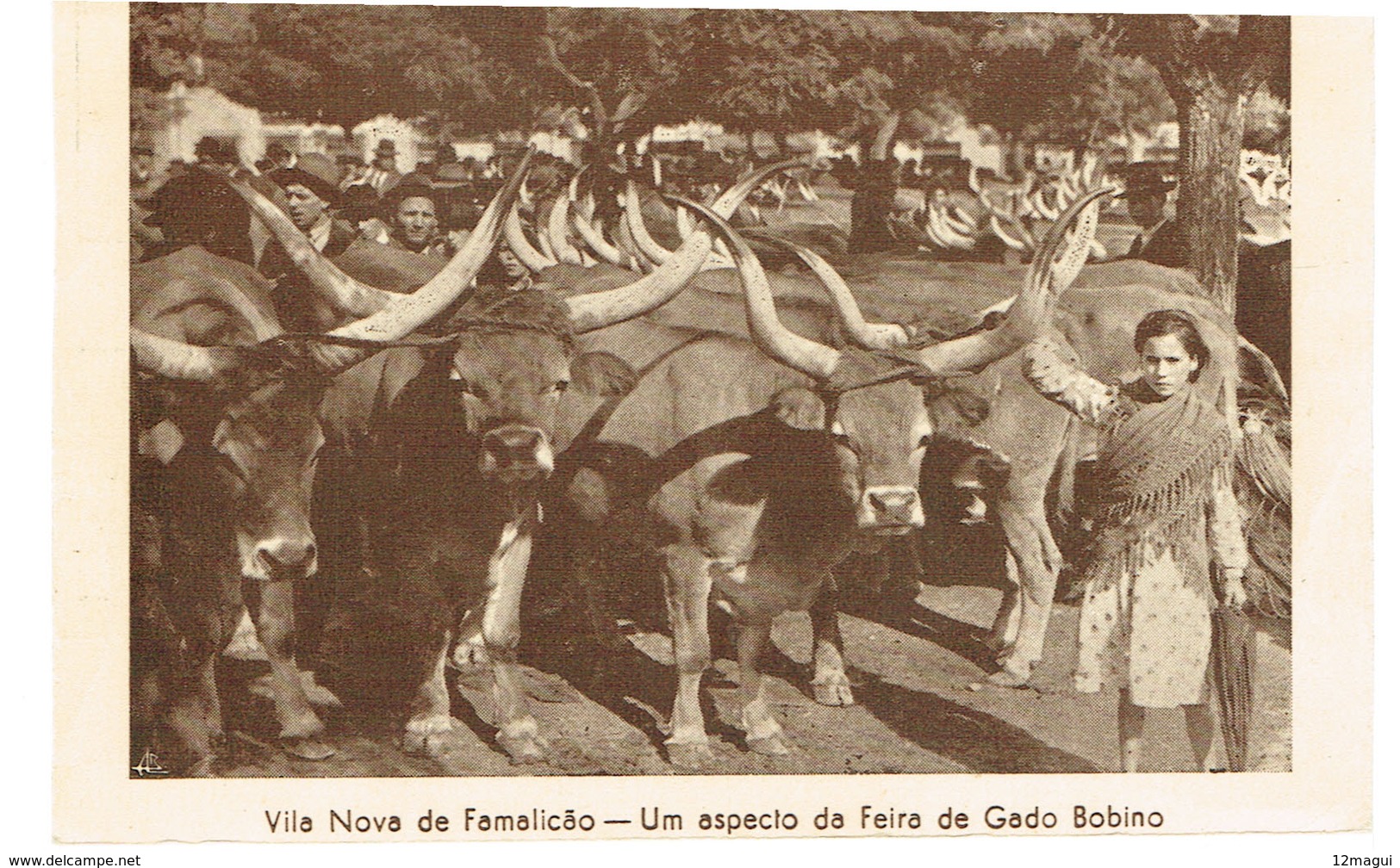 PORTUGAL-POSTCARDS--( TEMA-FEIRAS E MERCADOS)--BRAGA- FAMALICÃO-UM ASPECTO DA FEIRA DE GADO BONINO - Braga