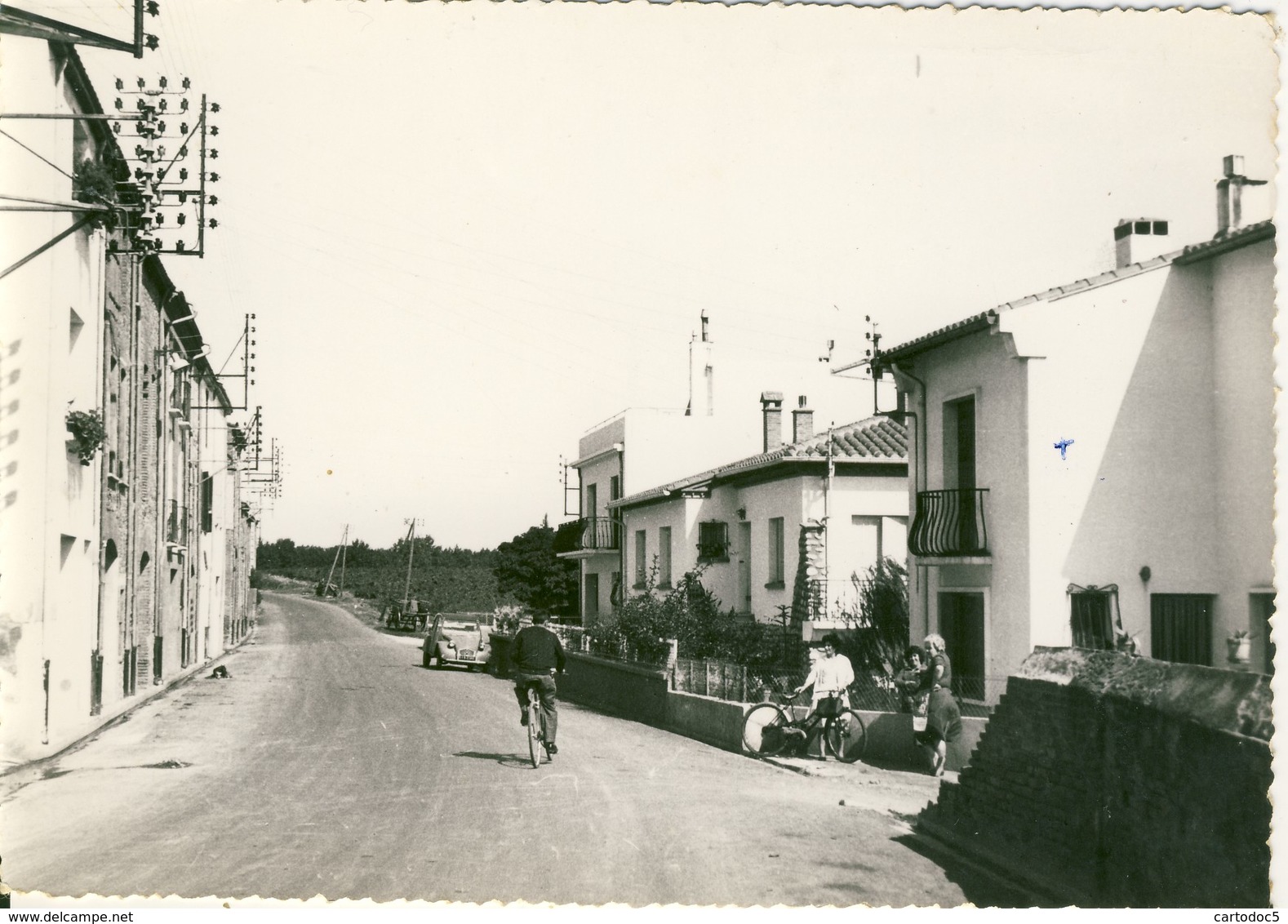 Canohès  Route De Perpignan  Cpsm Format 10-15 - Autres & Non Classés