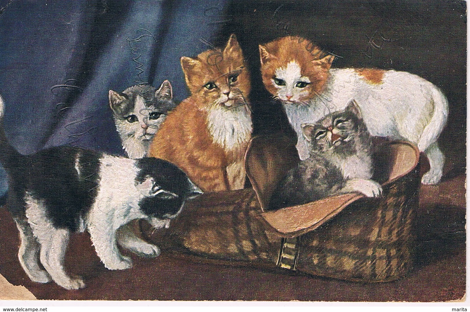 5 Chats -cats- Poezen -katzen -Sperlich - Katzen