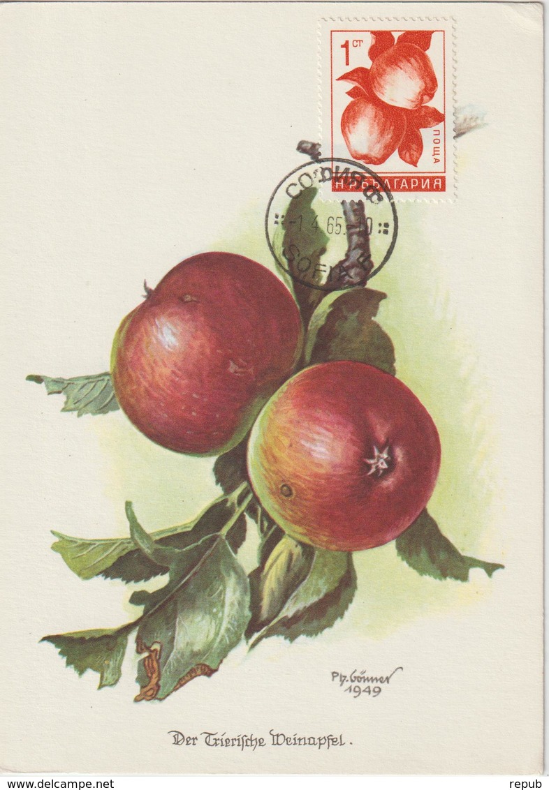 Bulgarie Carte Maximum Fruits 1965 Pommes 1364 - Cartas & Documentos