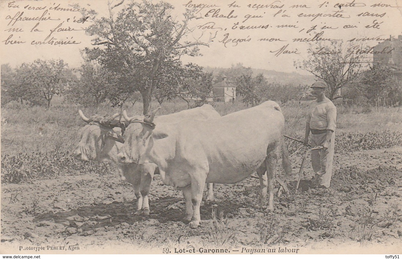 CPA:PAYSAN ATTELAGE DE BŒUFS AU LABOUR CHAMP (47)..ÉCRITE - Autres & Non Classés