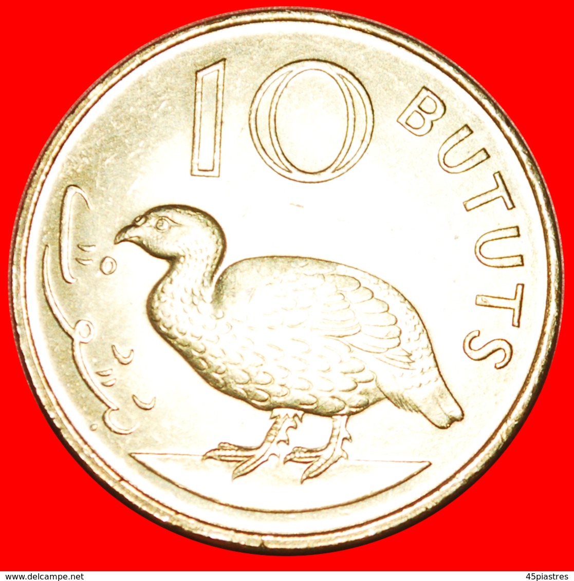 + BIRD: THE GAMBIA ★ 10 BUTUTS 1971 UNC MINT LUSTER!  LOW START ★ NO RESERVE! - Gambia