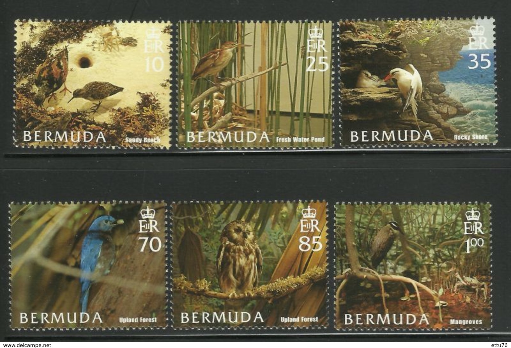 BERMUDA  2005  BIRDS,HABITATS   SET  MNH - Other & Unclassified