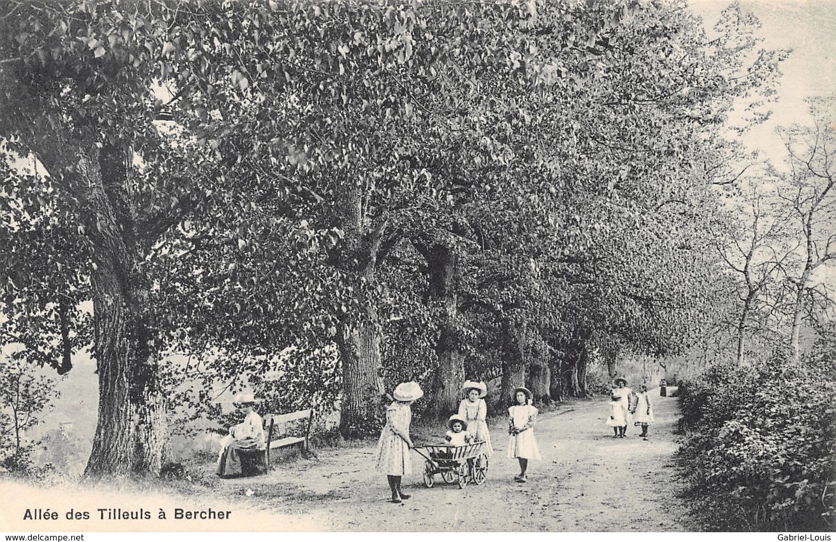 Allée Des Tilleuls à Bercher - Bercher