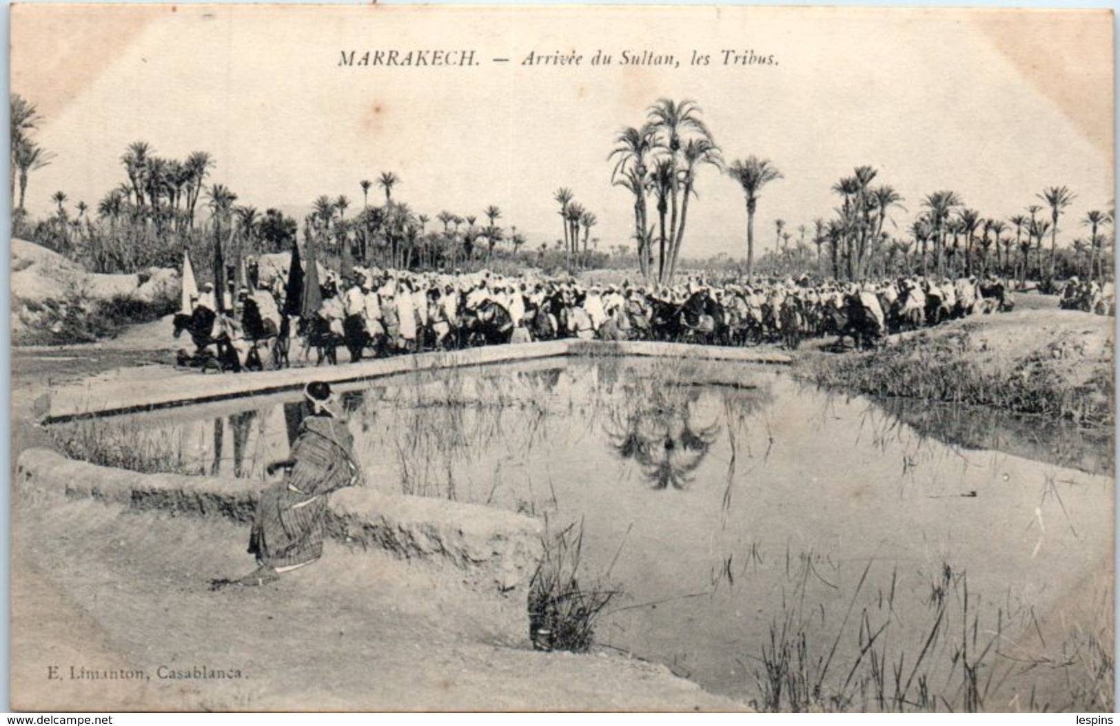 AFRIQUE - MAROC -- MARRAKECH --  Arrivée Du Sultan , Les Tribus - Marrakech