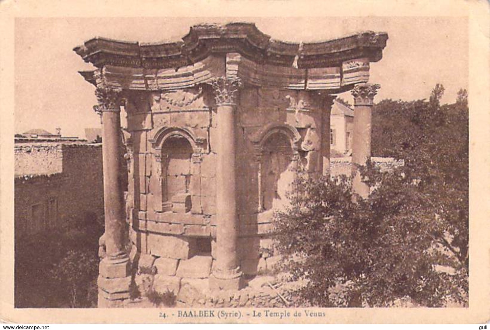 Asie > Syrie  Liban   Lebanon BAALBEK Le Temple De VENUS   (ruines Romaines) *PRIX FIXE - Liban