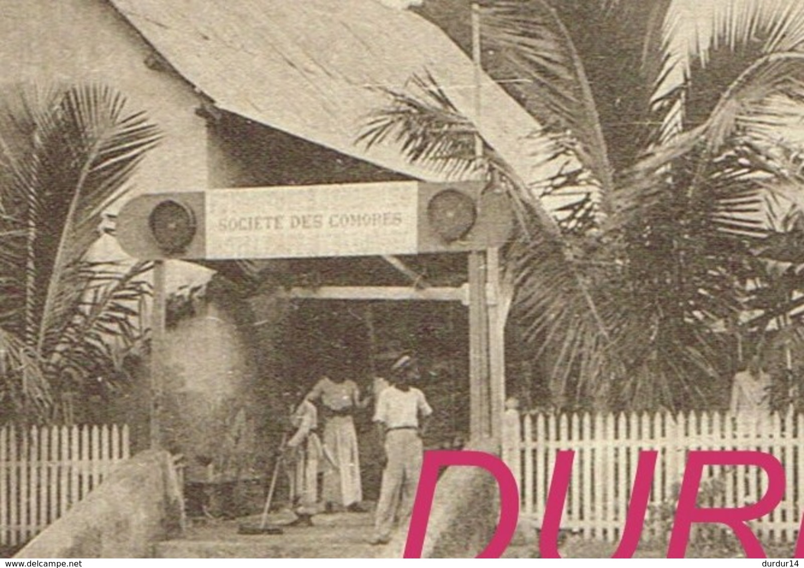 MAYOTTE  D'ZAOUDZI Société Des Comores ( Carte En Bon état ) - Mayotte