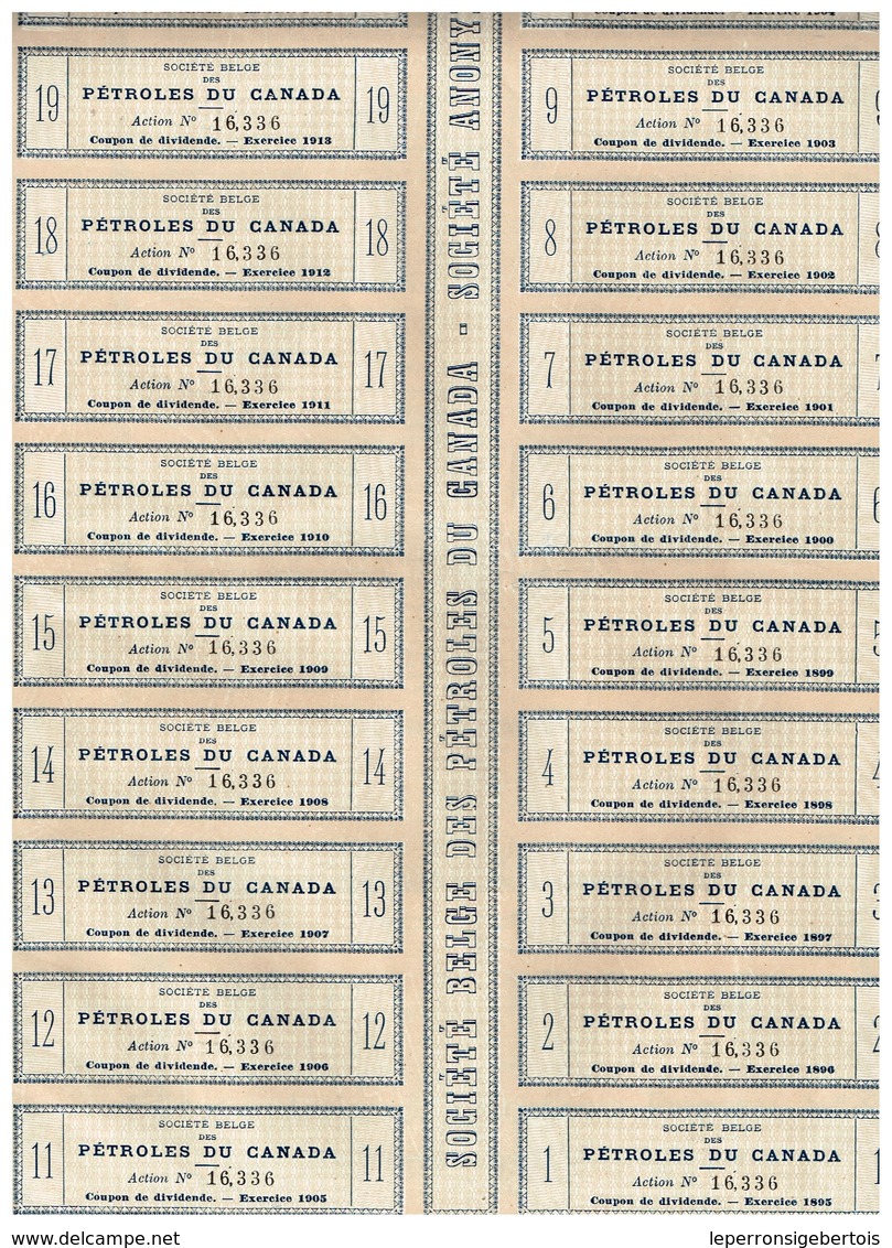 Titre Ancien - Société Belge Des Pétroles Du Canada - Société Anonyme -Titre De 1894 - - Aardolie