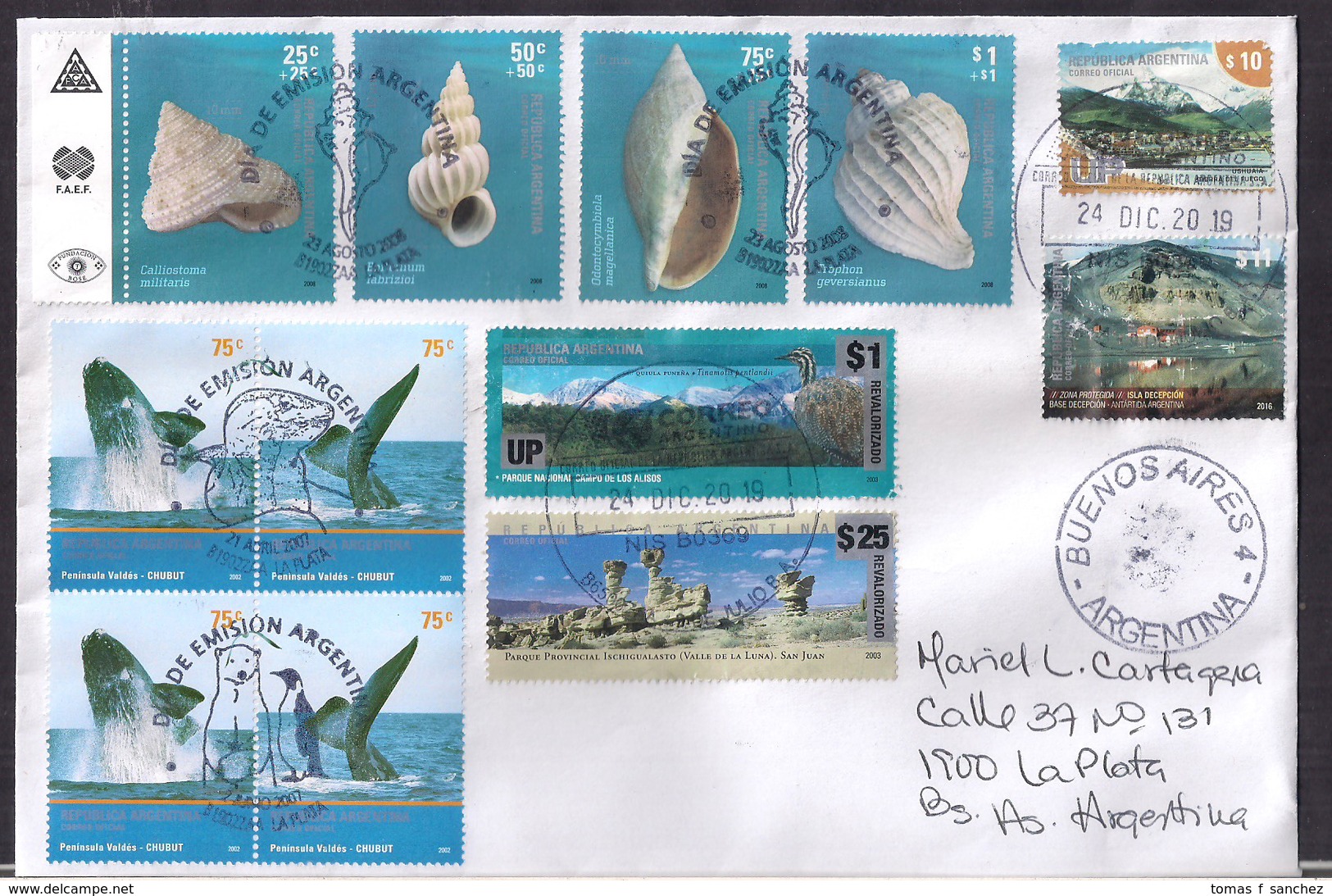 Argentina - 2009 - Faune Antarctique - Coquillages - Baleines - Briefe U. Dokumente