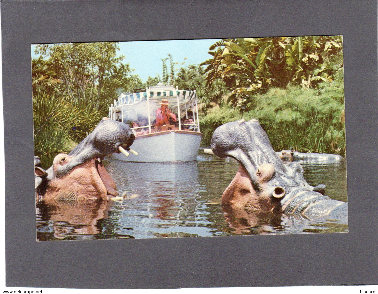 90336    Stati  Uniti,  Jungle Cruise,  Disneyland"s  Adventureland,  NV(scritta) - Anaheim