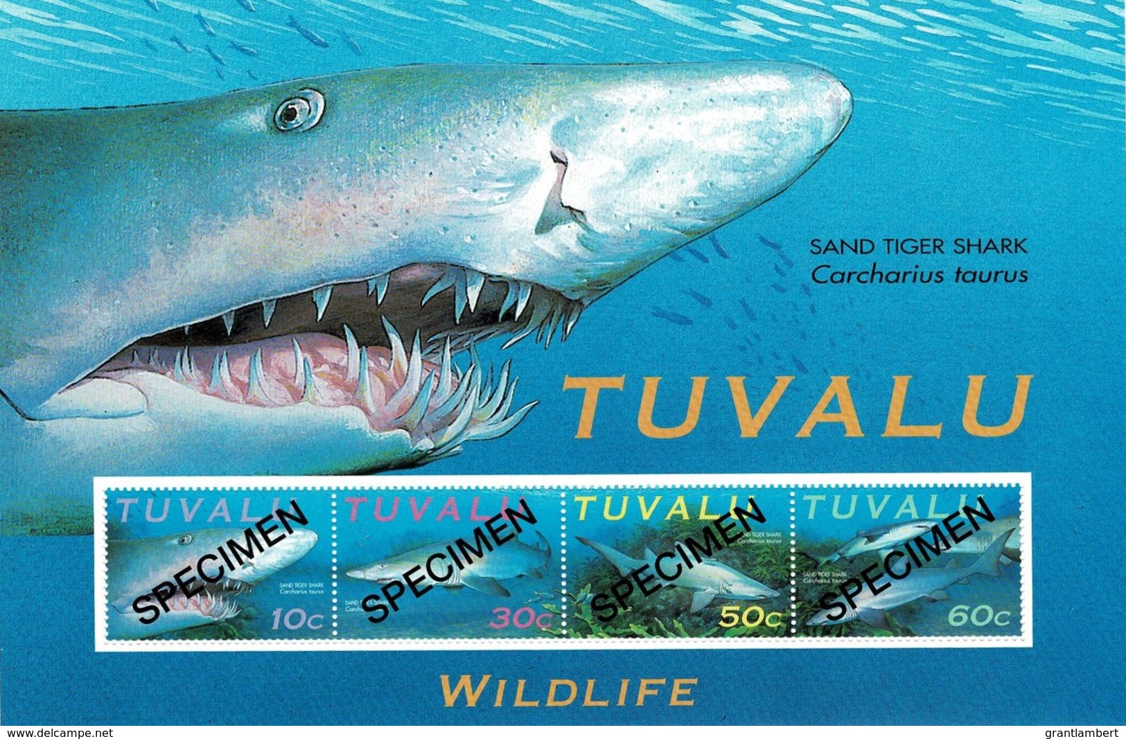 Tuvalu 2000 Sand Tiger Shark SPECIMEN Minisheet MNH - Tuvalu