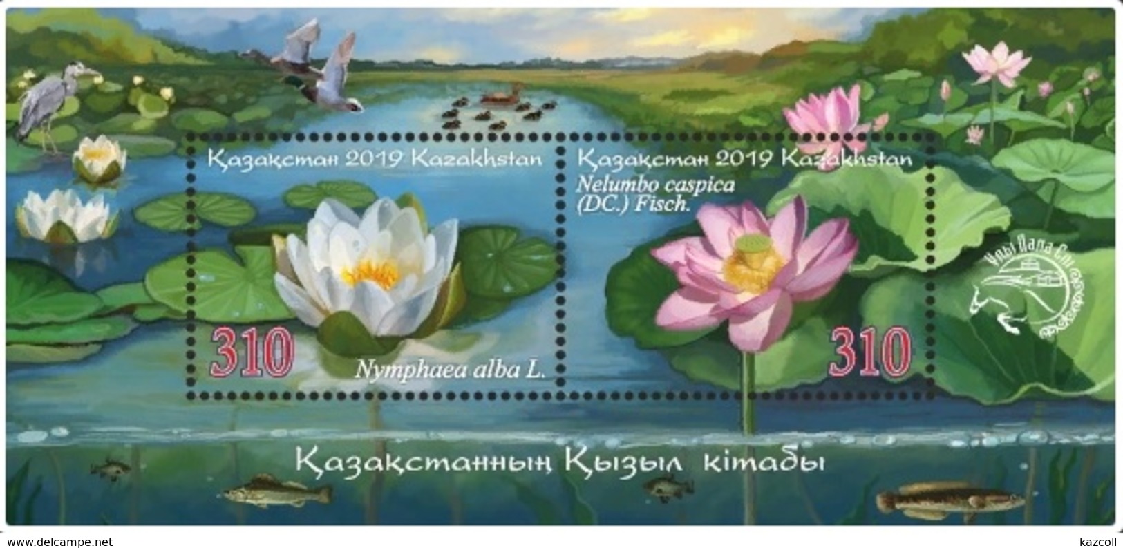 Kazakhstan 2019.  Flora. Indian Lotus. European White Water Lily.  MNH - Kazakhstan