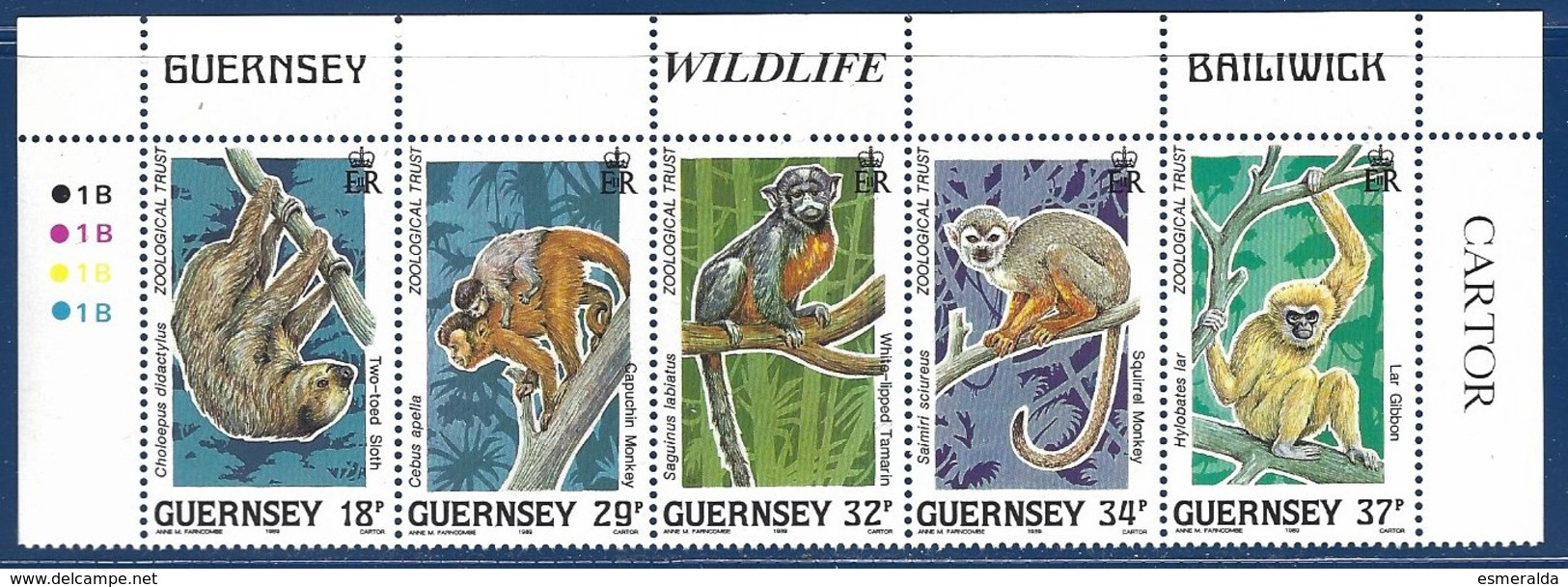 Guernsey, Yv 467/71, Liens De Guernsey Avec Le W.W.F. Animaux Menacés, Coin De Feuille N° Planche  ** - Guernesey