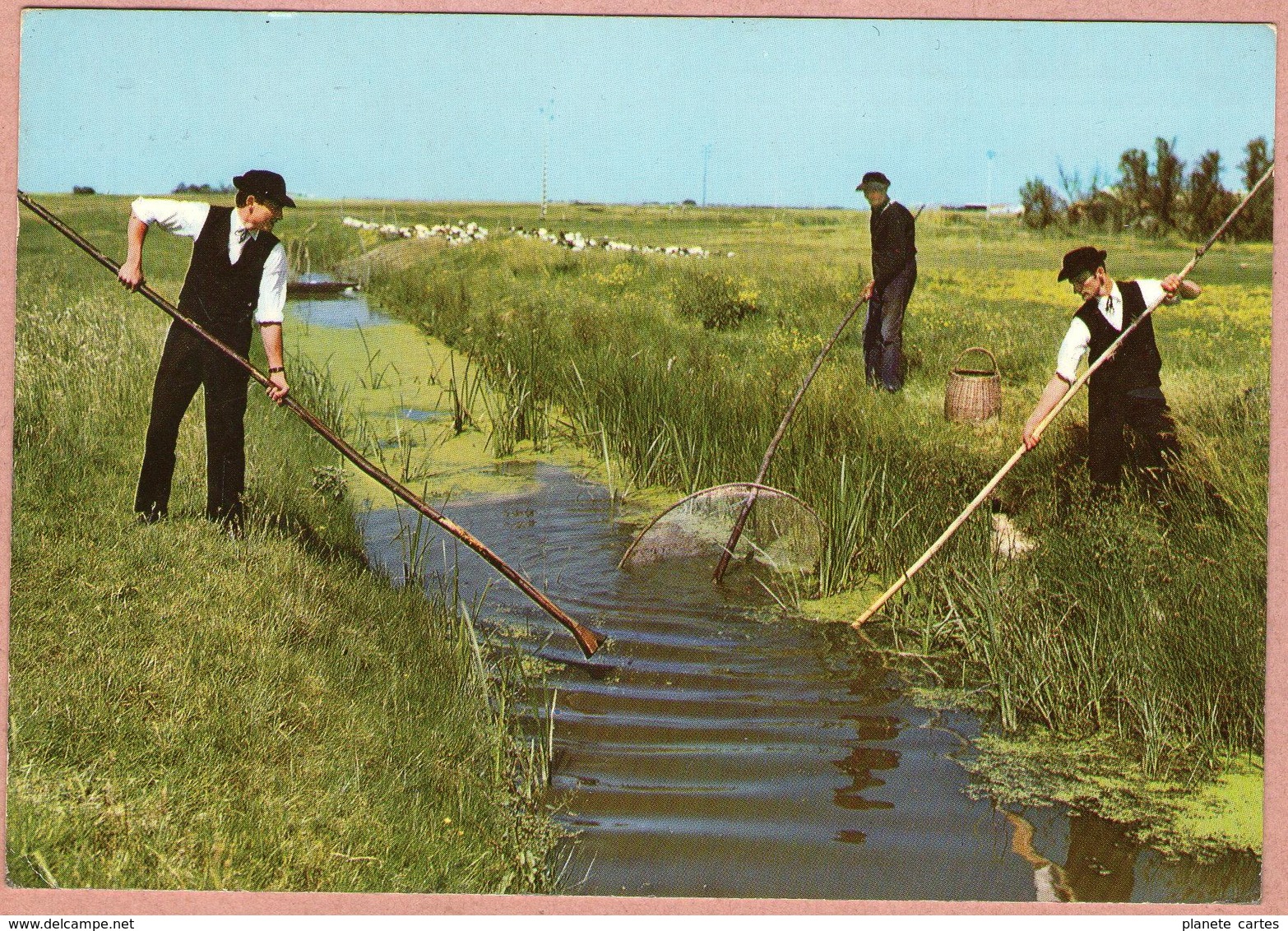 85 / Lot De 2 : Pays Maraichin - Folklore - Pêche à L'anguille + Promenade En Barque - Autres & Non Classés