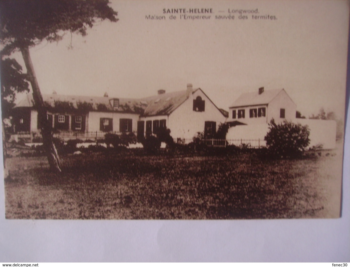 Sainte Hélène Longwwod Maison De L'empereur Sauvée Des Termites - Saint Helena Island