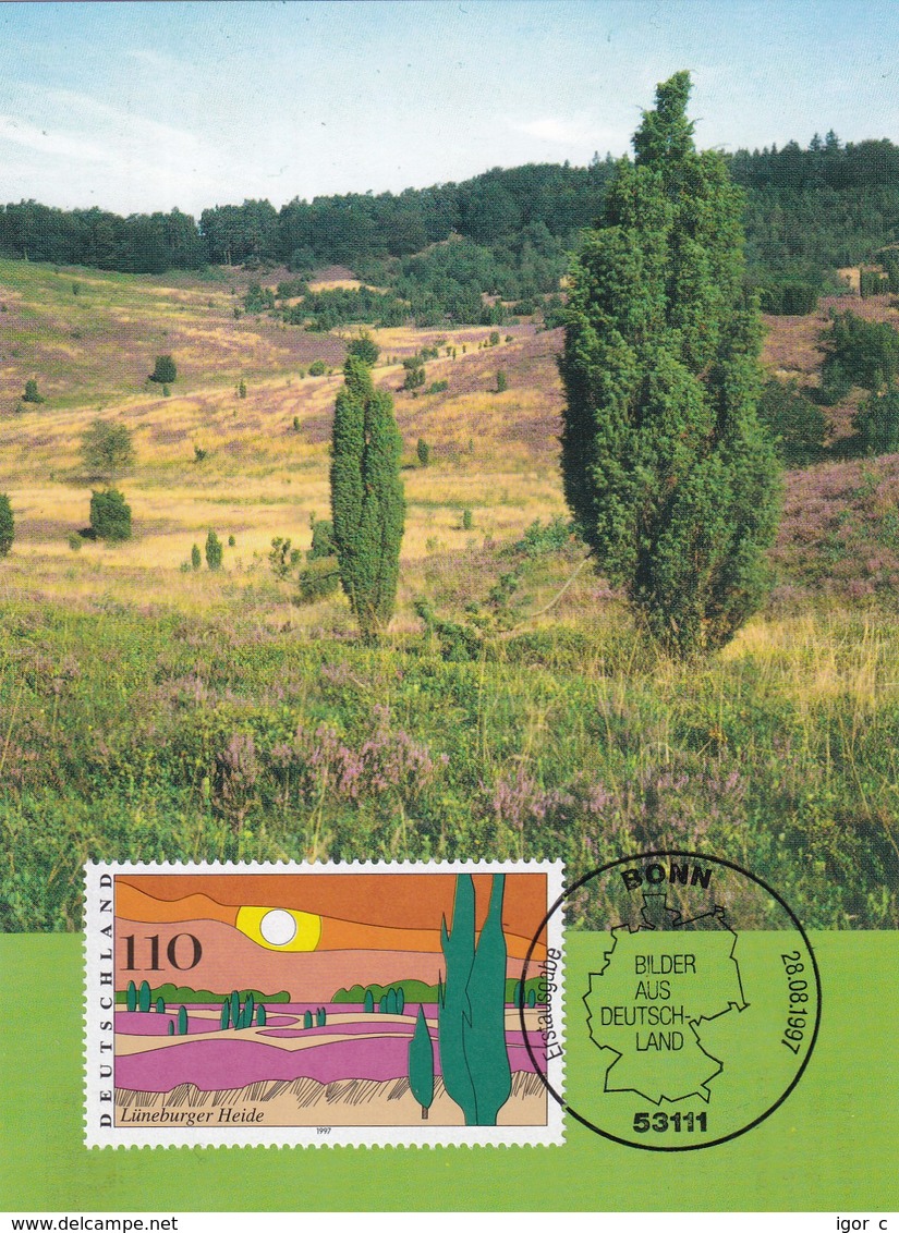 Germany 1997 Maximum Card: Nature; Tourism; Landscapes: Trees Lüneburger Heide - Umweltschutz Und Klima