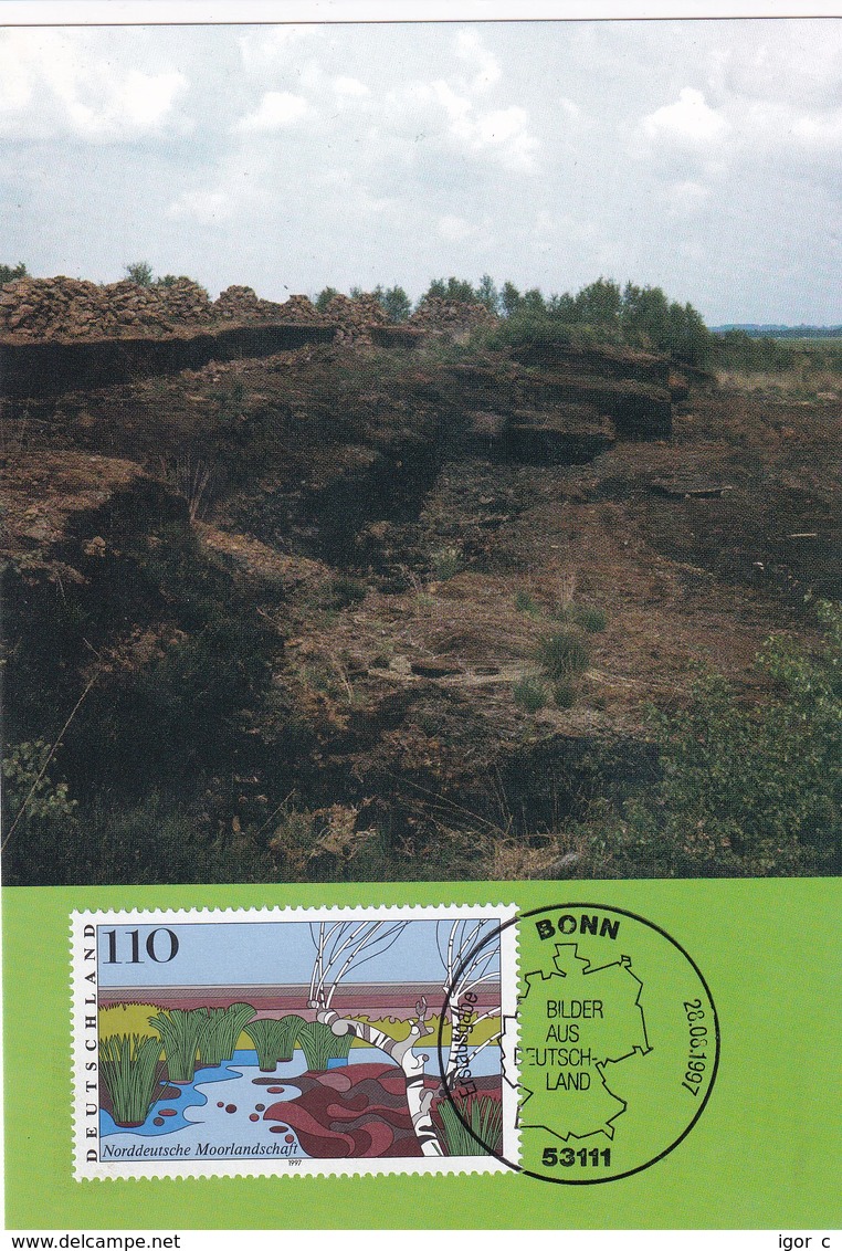 Germany 1997 Maximum Card: Nature; Tourism; Landscapes: Trees Bremen Nordlandschaft - Umweltschutz Und Klima