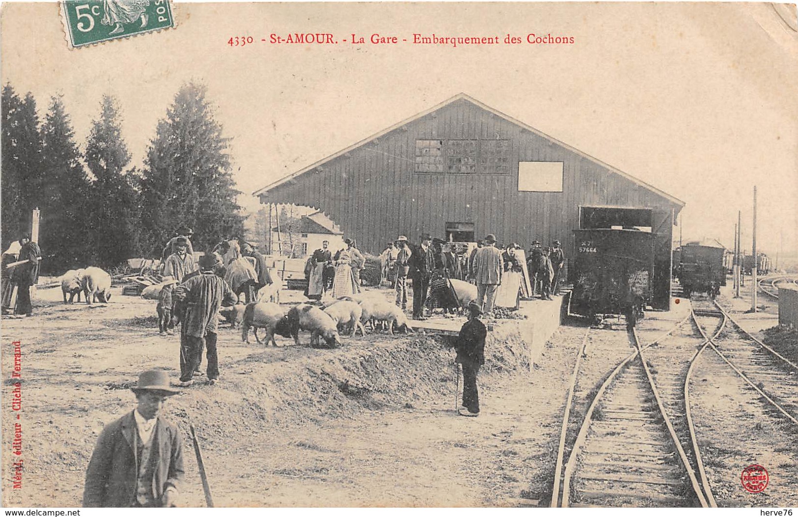 SAINT AMOUR - La Gare - Embarquement Des Cochons - Autres & Non Classés
