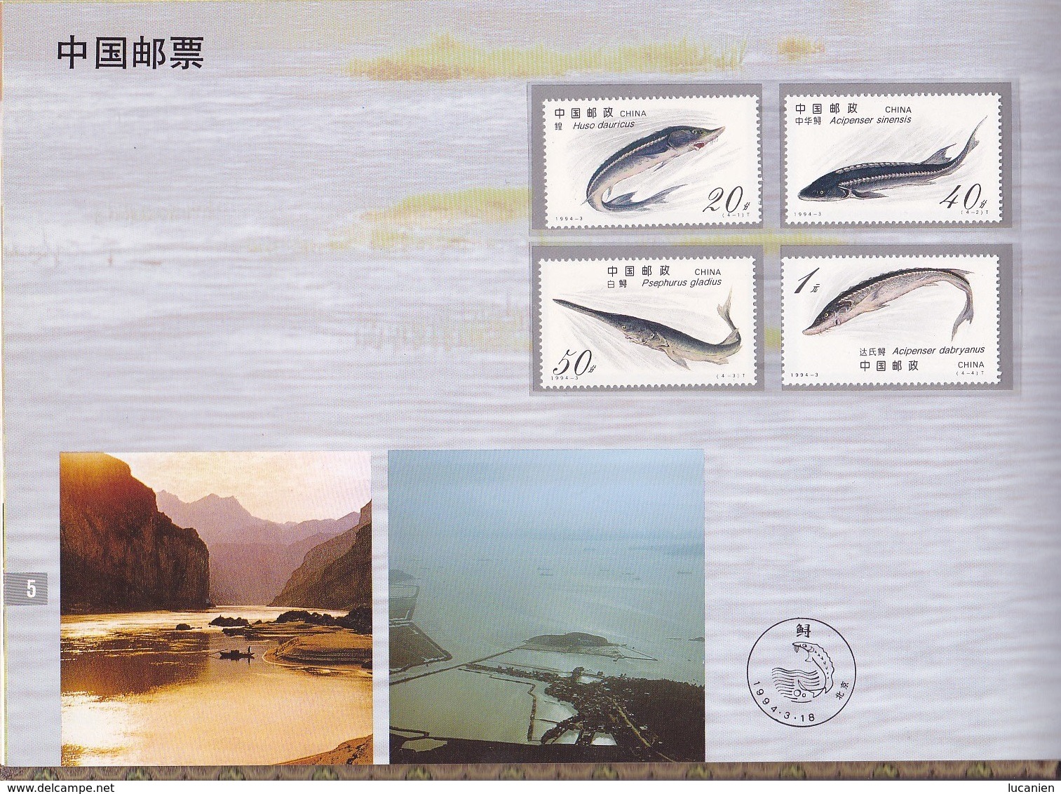 Chine Année Complète 1994 ** 39 Photos Timbres/Blocs - Voir Descriptif -