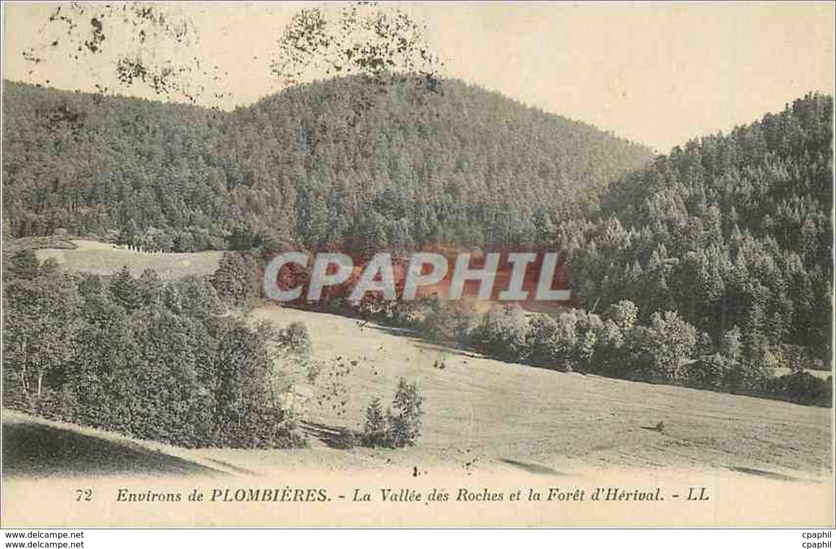 CPA Environs Plombieres La Vallee Des Roches Et La Foret D'Herival - Plombières