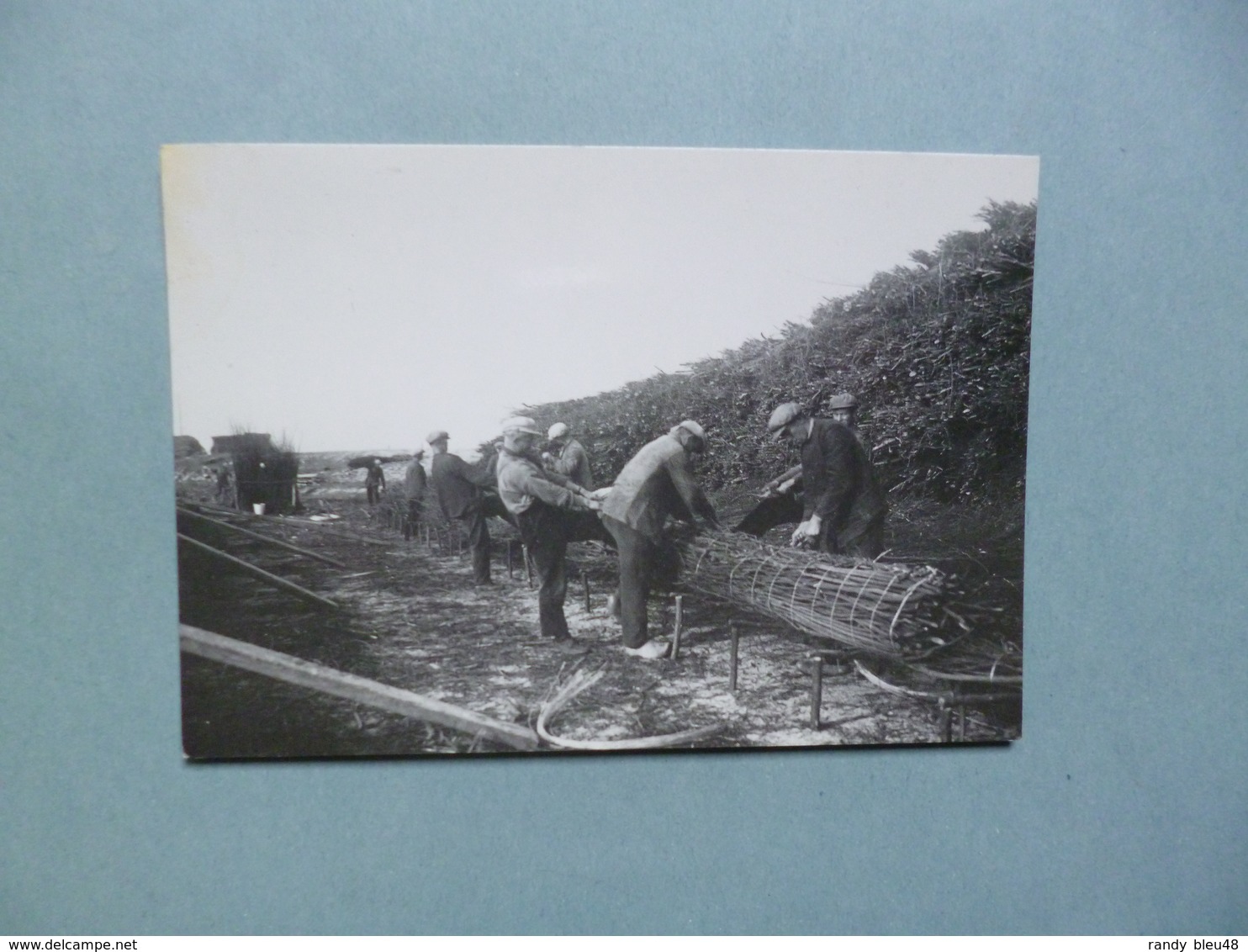 AFLSUITDIJK  -  DEN OVER  -  Maken Van Extra Dikke Wiepen  ......  Photo  -  Foto  Gemeente WIERINGEN - Den Oever (& Afsluitdijk)