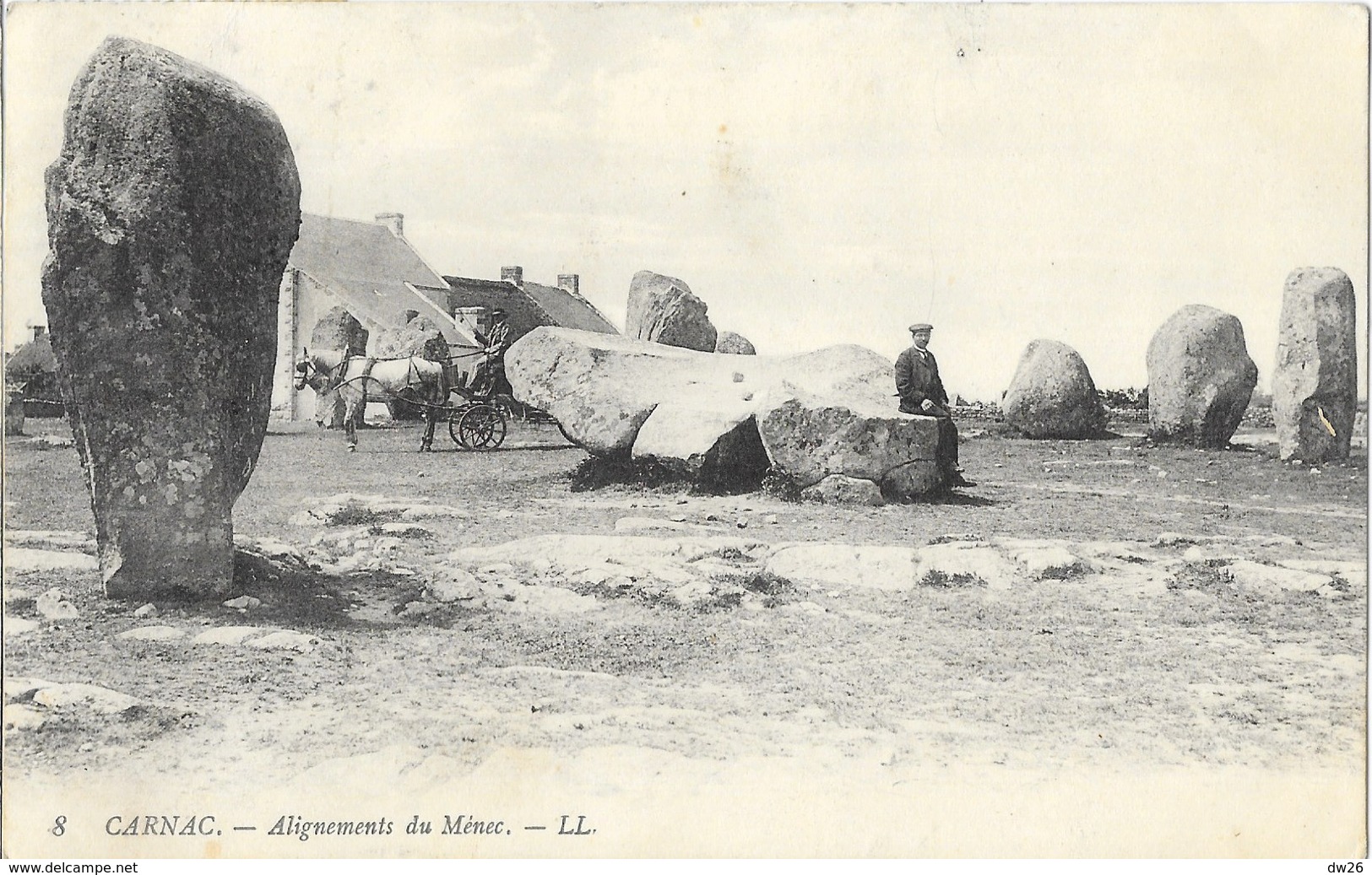 Carnac (Morbihan) Les Alignements Du Ménec, Attelage - Carte LL N° 8 - Carnac