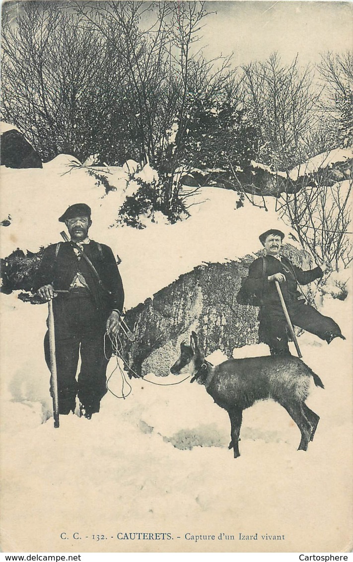 CPA 65 Hautes Pyrénées Cauterets Capture D'un Izard Vivant - Chasse Montagne Non Voyagée - Cauterets