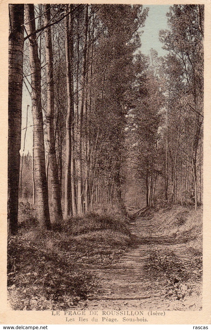 CPA - N - ISERE - PEAGE DE ROUSSILLON - LES ILES DU PEAGE - SOUS BOIS - Autres & Non Classés