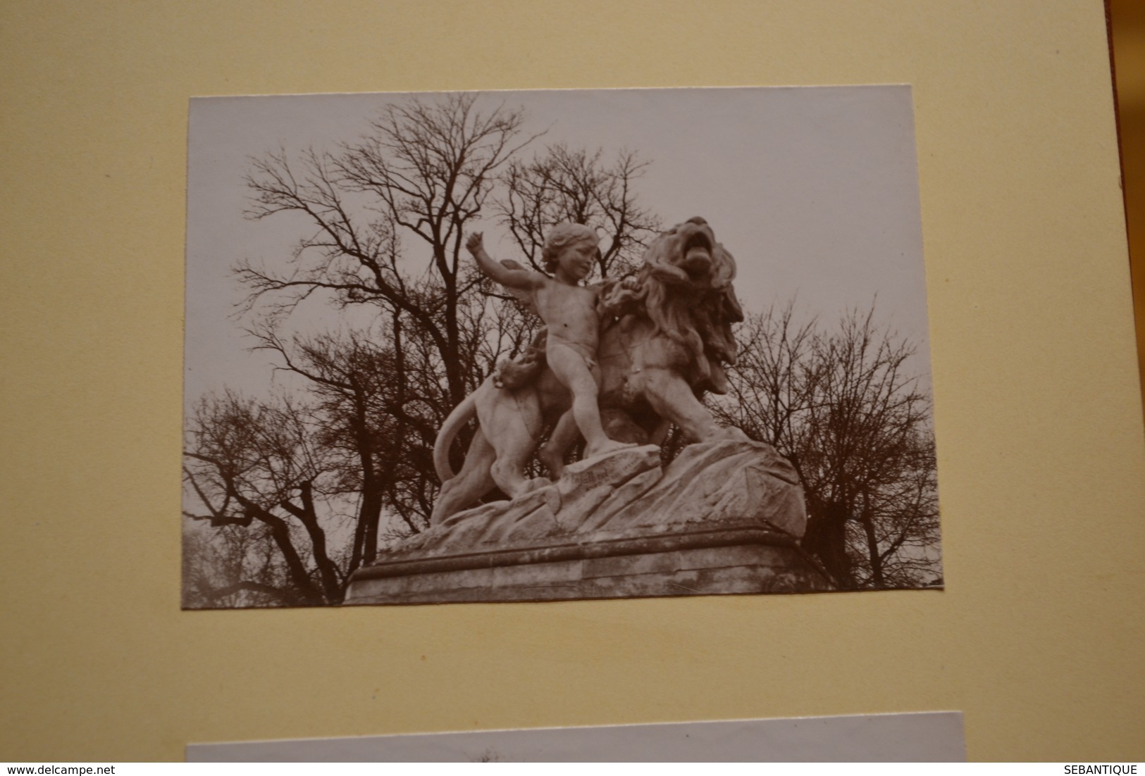 album photos souvenir année 1900 Montpellier Palavas les flots AFN Carnaval Montpellier chars calèche