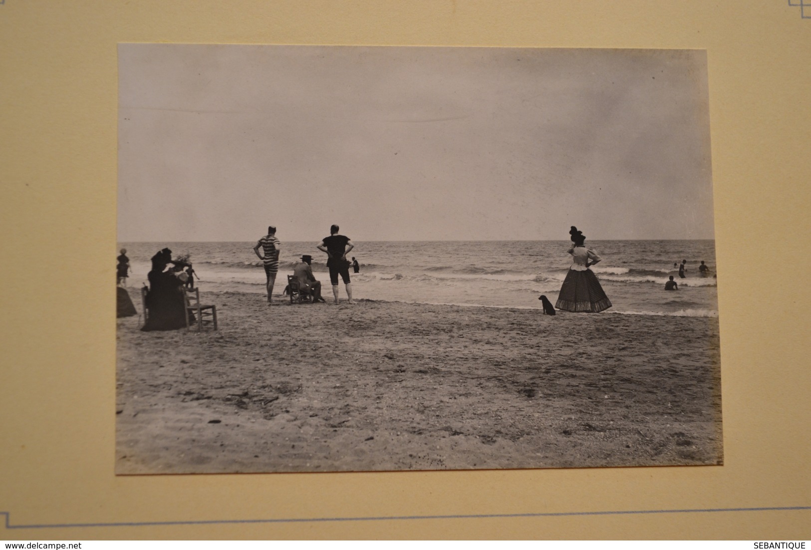 album photos souvenir année 1900 Montpellier Palavas les flots AFN Carnaval Montpellier chars calèche