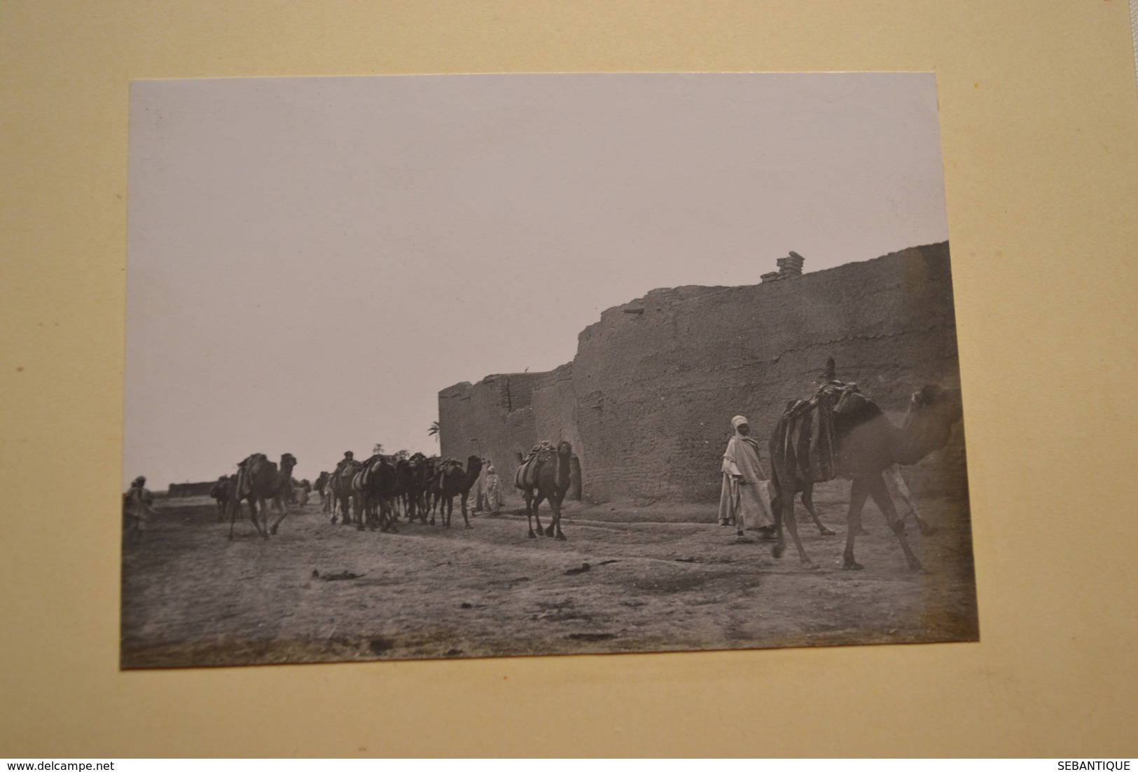 album photos souvenir année 1900 Montpellier Palavas les flots AFN Carnaval Montpellier chars calèche