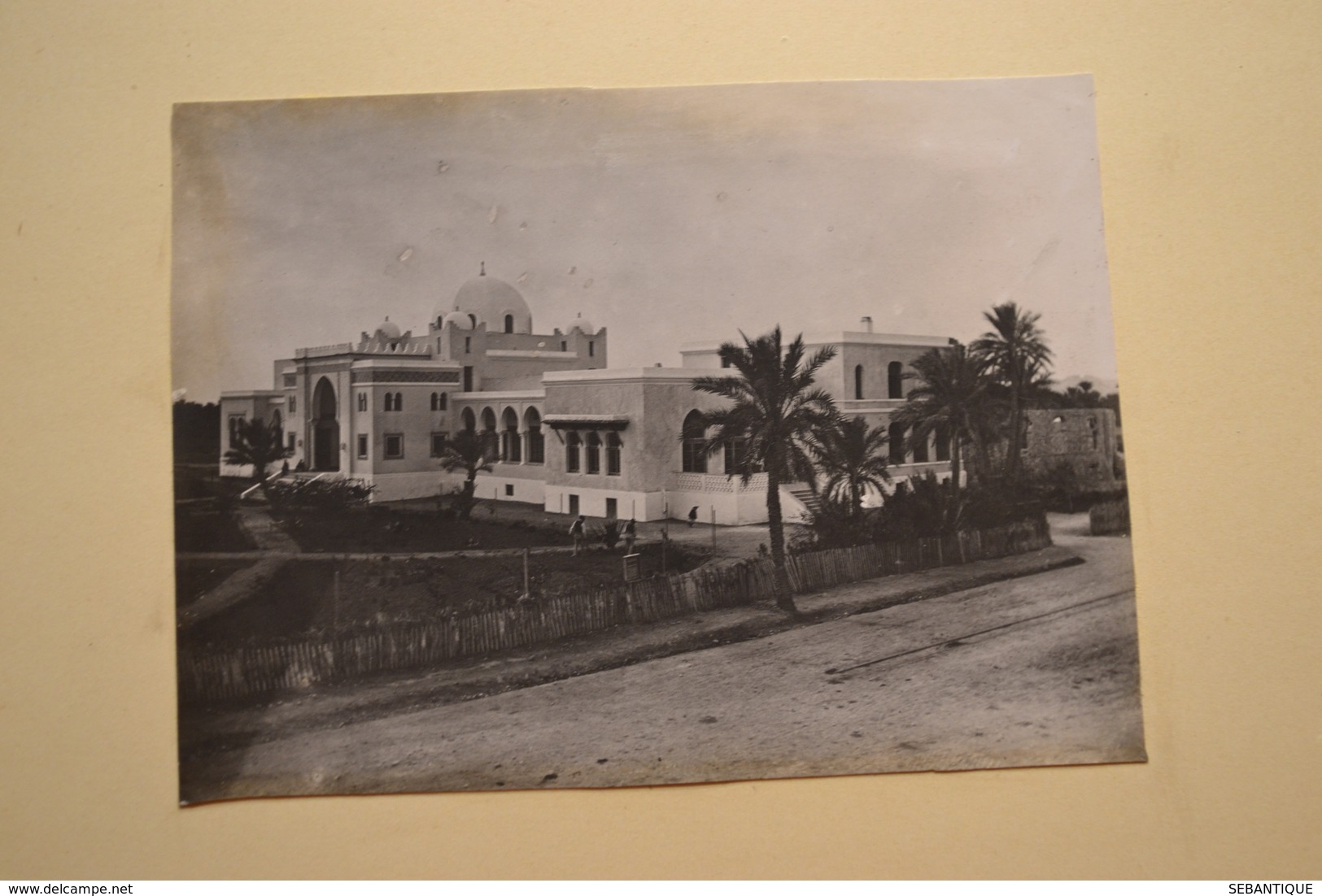 album photos souvenir année 1900 Montpellier Palavas les flots AFN Carnaval Montpellier chars calèche