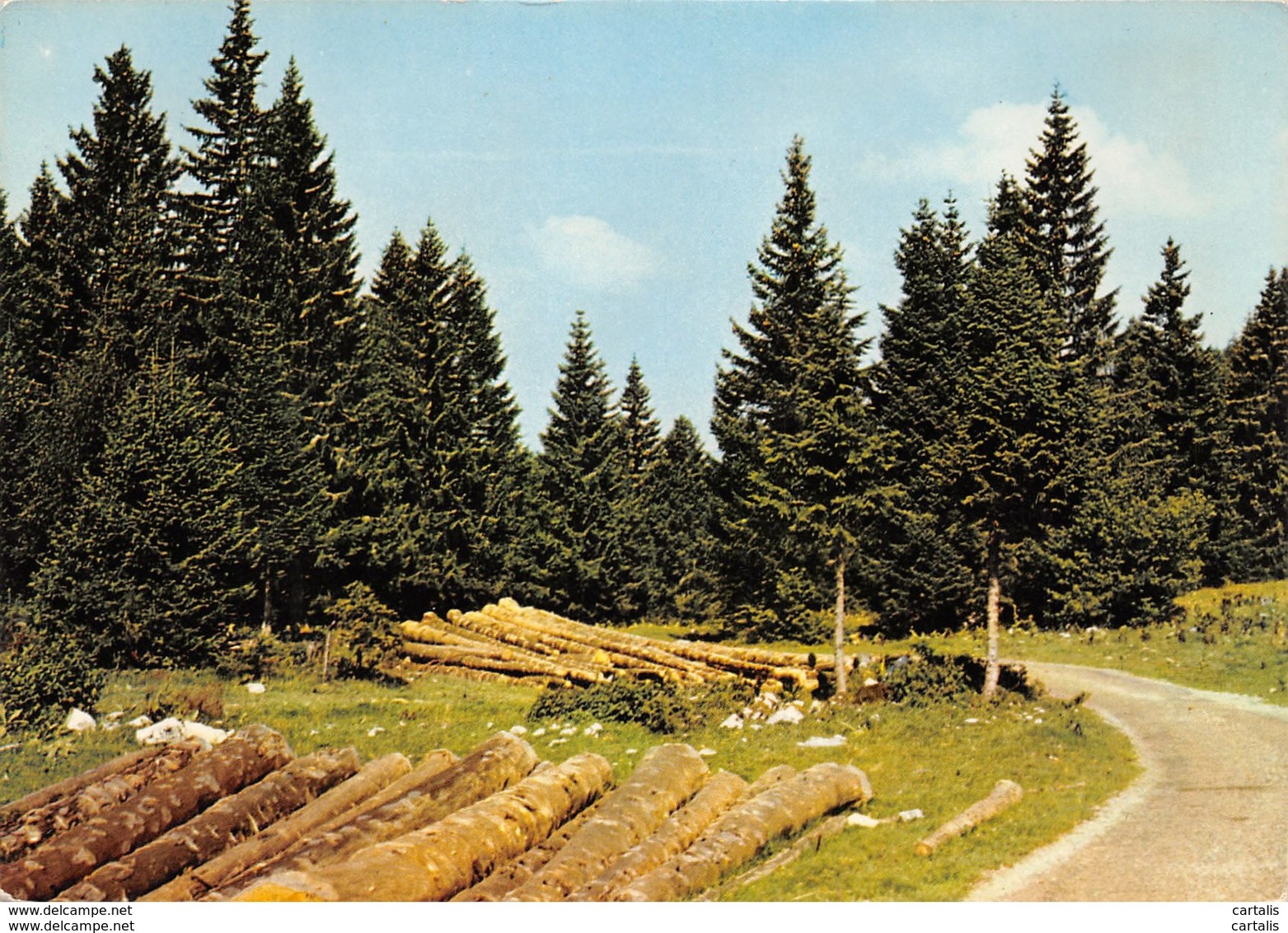 25-PAYSAGE DU HAUT DOUBS-N°3765-A/0373 - Autres & Non Classés