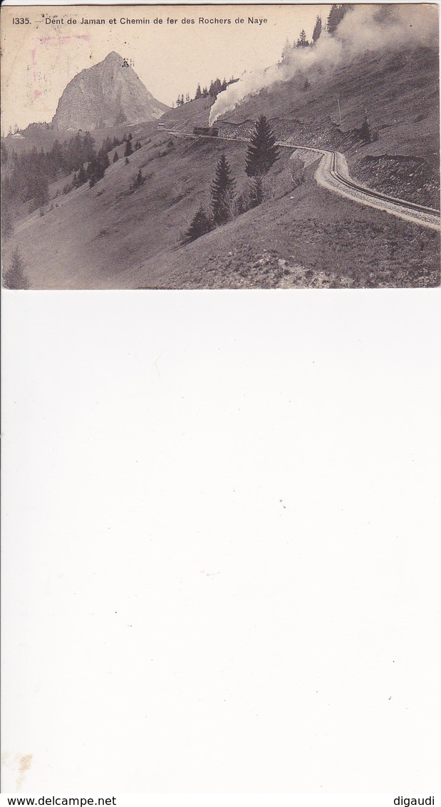 Suisse -  Dent De Jaman Et Chemin De Fer Des Rochers De Naye - Roche