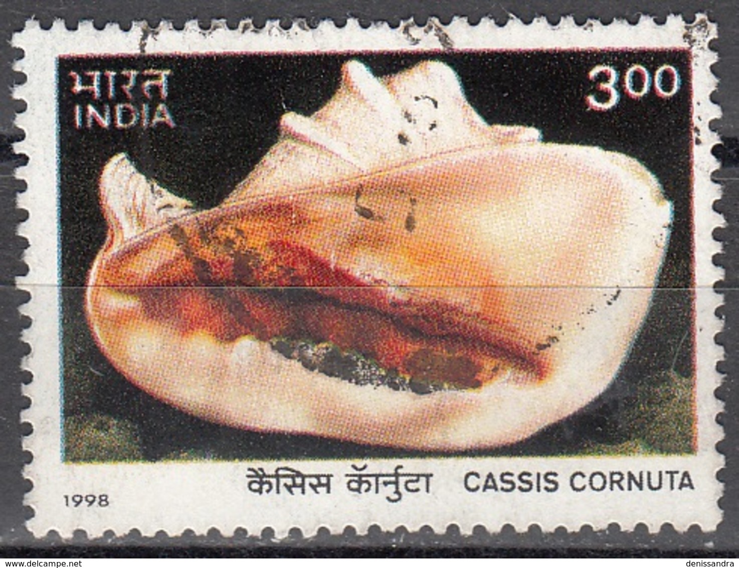 India 1998 Michel 1668 O Cote (2006) 0.80 Euro Mollusque Casque Cornu Cachet Rond - Oblitérés